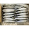 Pacific Mackerel (Size 250-300g), CNF Dar es Salaam(USD/kg) 0.89