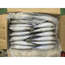 Pacific Mackerel (Size 250-300g), CNF Dar es Salaam(USD/kg) 0.89