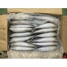 Pacific Mackerel (Size 250-300g), CNF Dar es Salaam(USD/kg) 0.89